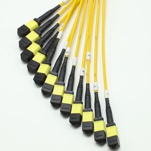 1M MPO Fanout Cable
