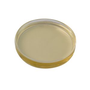 Wholesale Habio Phytase Enzyme liquid powder and granule Heat Stable Bacterial Phytase Enzyme With 6-Phytase from china suppliers