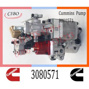 China Cummins Diesel KTA19 Engine Fuel Injection Pump 3080571 3655884 4913582 3076130 on sale
