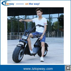 citycoco/seev/woqu 1000w with battery can be removed 18*9.5inch big tyre