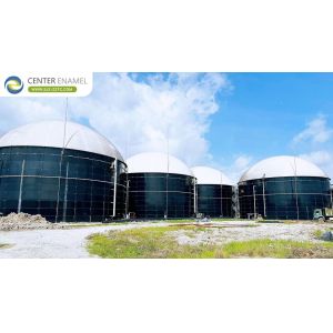 China Center Enamel: Comprehensive Biogas Solutions Utilizing Advanced Anaerobic Digestion Technology on sale
