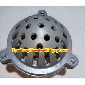 female thread foot valve material GG20