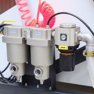 Advanced Technology Optical Sorting Machines White Red Quinoa Color Sorter