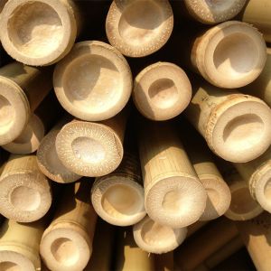100 % Natural Strong Durable Moso Bamboo Pole Customize Length