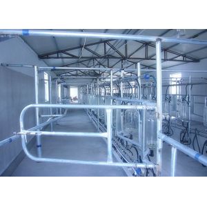 Automatic Parallel Herringbone Milking Parlor For Milk Cows , Goats , Sheep