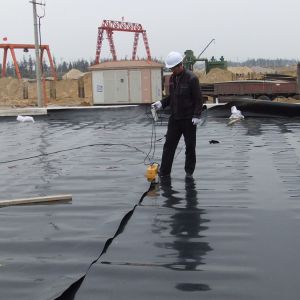 Double Texture HDPE Geomembrane Versatile Solution for Dam Liner and Fish Pond