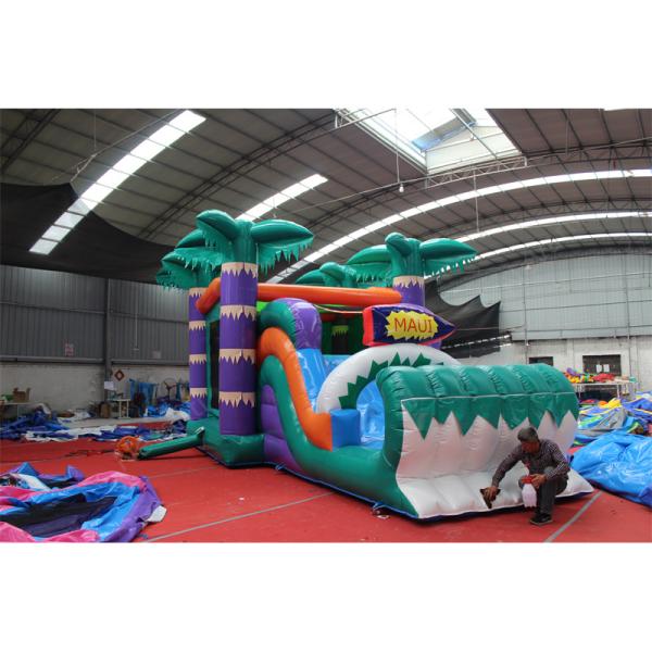 Age Range 5 to 7 years Commercial Pvc Jumping Bouncer Dry Slide Custom Logo Printed