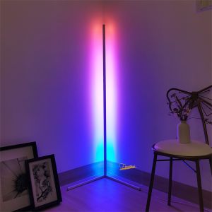 Modern RGB Floor Lamps Floor Lights Interior Atmosphere Lamp Colourful corner