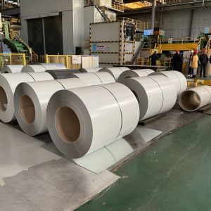 Cutting Service PPGI Coils in Red Violet Blue Green Color for Roofing Sheet