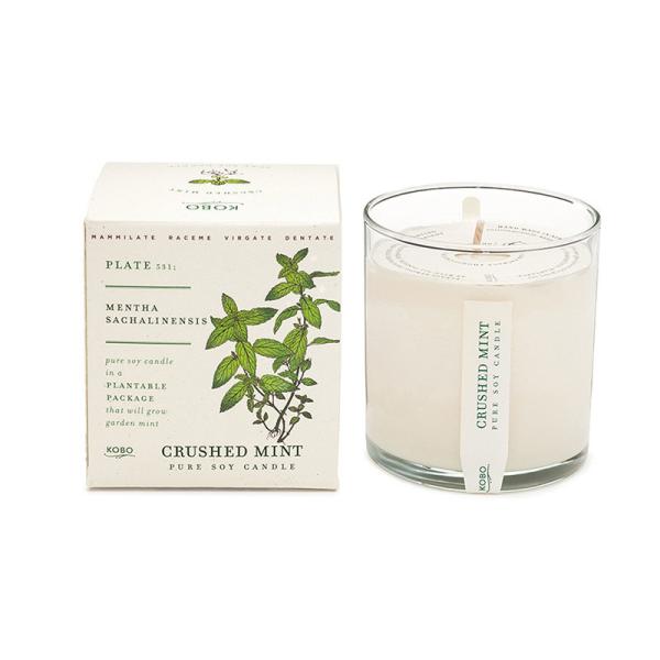 Matte/Gloss Varnish Surface Paper Packaging Box Durable and Sturdy for Your