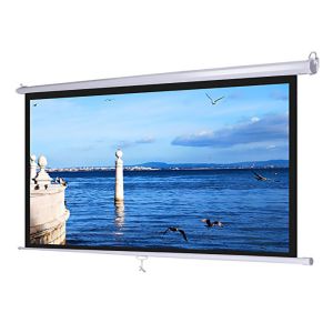 Matte White 100 Inch Projection Screen 4:3 Manual Projector Screen Pull Down