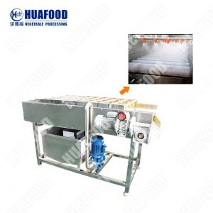 Automatic Vegetable And Fruit Washing Machine Apple Juicer Machine Line