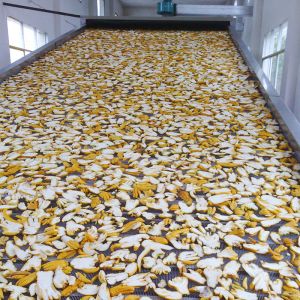 1.1kw Automatic Continuous Belt Dryers Tomato Drying Equipment MultiLayer