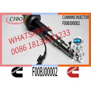 Common Rail Fuel Injector 2882078 F00BJ00002 Fuel Injector For QSK50 QSK60 K19