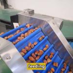 Innovation Redefined Date Sorting Machine Standarded With Advanced Technology