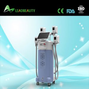 China Precisely controlled cold application clinic use cryolipolysis machine on sale