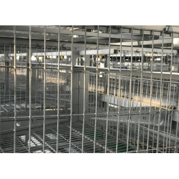 Quality Nipple Drinker Poultry Farm Water System Easy To Operate ISO9001 Certification for sale