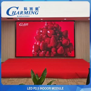 P2.5 Advertising Indoor LED Display Modules Seamless Multipurpose