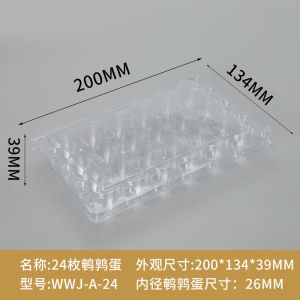 Small Plastic Egg Cartons - Clear 2 Dozen Quail Eggs Tray - Reusable Storage