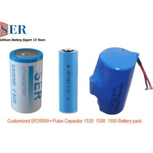 HPC1550 3.6V Li SOCL2 Battery Pack
