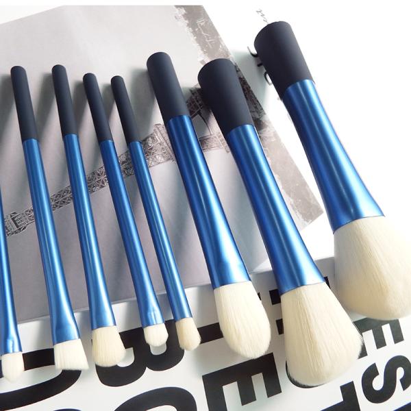 Pro Level Quality Full Face Makeup Brush Set With Durable Blue Plastic Handle