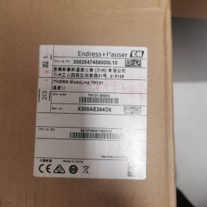 Customizable Immersion Length Modular Thermometer TM111-AACAAX1ABB2CA1AA1 for