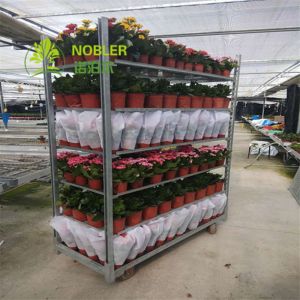Wholesale 1350MM Shopping 100kg/Shelf Ez Racks Danish Container from china suppliers