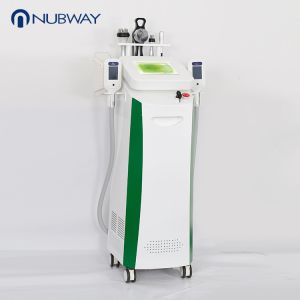 Meticulously-designed!!! The most featured Cryolipolysis Slimming Equipment