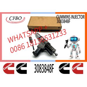 China Diesel Common Rail Diesel Fuel Injector 3411759 3083848F 3411759 4384360 3411762 4307516N 3411767 For Cum-mins QSN14 N14 on sale