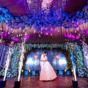 Wholesale 600W Cold Firework Spark Sparle Machine for Weddings and Fireworks Customized from china suppliers