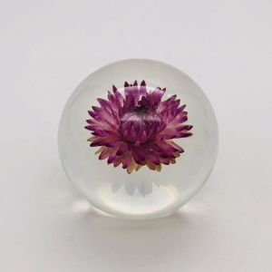 Real Flower Paperweight Dia80mm With Hydrangea Inside