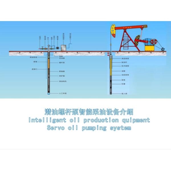 Quality Remote Intelligent Control No Leakage Submersible Servo Oil Pumping System for sale