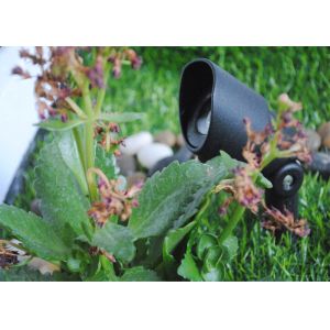 Dimmable LED Spot Lights 5 Watt DC12V Input Voltage ROHS Certification