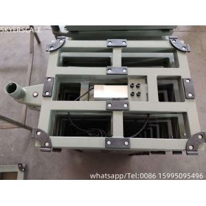 200 Kg Electric Digital Platform Bench Weighing Scale