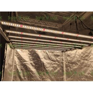 1000w Full Spectrum Greenhouse Horticulture LED Grow Lights