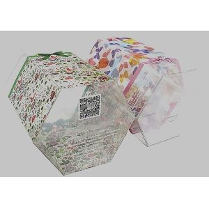 Plastic windowed box Packaging & Delivery Packaging Details: The packing will be