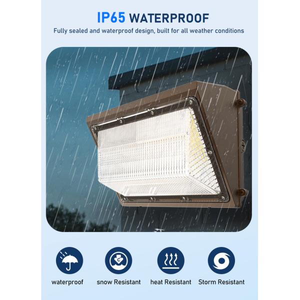 3CCT Adjustable Wall Pack LED Outdoor Lights 100W Waterproof
