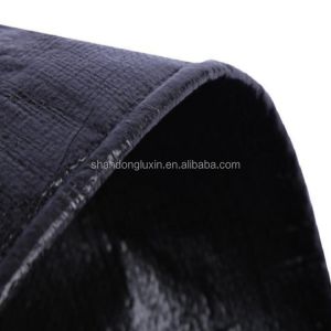3x4m 4x5m 4x6m Black PE Tarpaulin for Sturdy Waterproof Dustproof Covering of