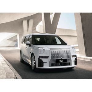 2025 OEM Export Luxury Chinese Comfortable Zeekr 009 Pure New Energy MPV Car