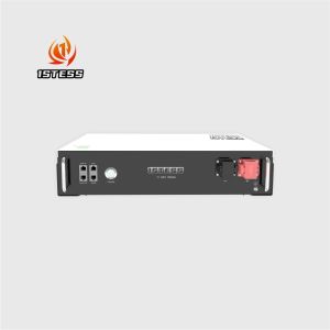 ODM Lithium ion Batteries Lifepo4 24v 100ah LFP Battery Price 25.6v 2.56kWh