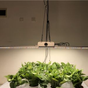 Full Spectrum Dimmable 600W Plant Light Bar For Greenhouse