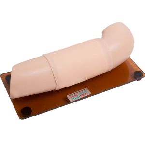 Wholesale PVC Subcutaneous Embedded Contraception Arm Simulator OEM from china suppliers