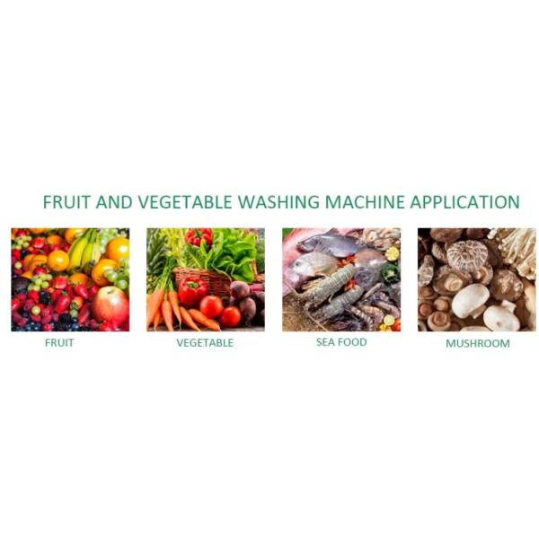 Stainless Steel Bubble 13.8KW Vegetable Fruit Washing Machine