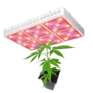 China 2900μMol/M²/S  Led Cob Grow Lightsl With UV IR Full Spectrum Long Using Lifetime on sale