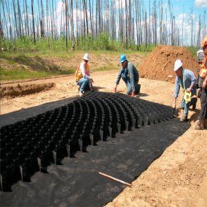Traditional Design HDPE Smooth/Textured Perforated Geocell Versatile and