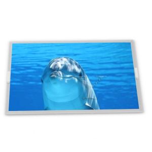 Wholesale New Compatible 17.0-Inch WLED LCD Display Module Customizable 1280*1024 Resolution IPS Panel LED ODM LTM170ET01 Modules from china suppliers