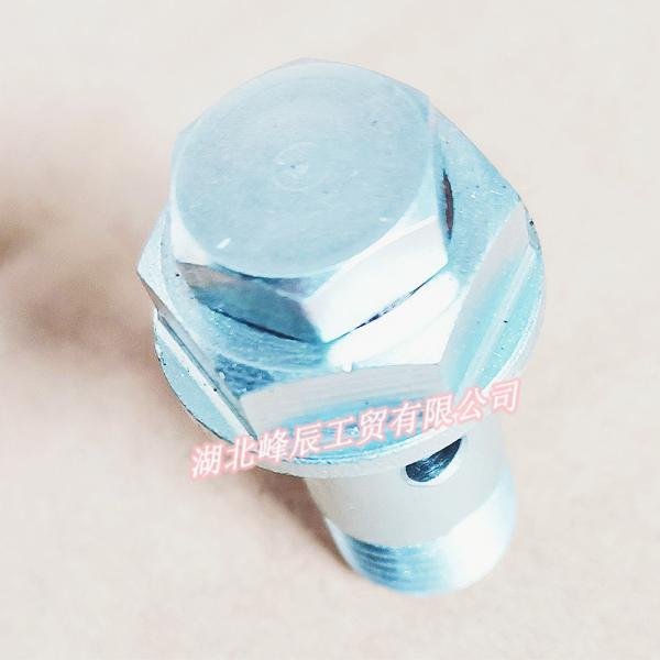 Dongfeng/Dcec Kinland Engine Parts Auto parts for Truck Outtake Valve Screw