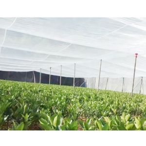 Plastic Protect Netting Agriculture Apple Tree Vegetable Orchard Anti Hail