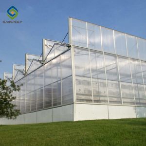 120km/H Multi Span Polycarbonate Aluminium Greenhouse With Irrigation System