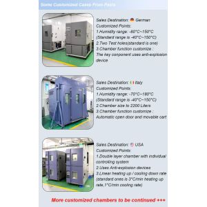 Liyi Customized Environmental Chambers Temperature and Humidity Control Cabinet